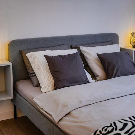 Family Stay - Calliope Apartment - By Openhouse 蒂米什瓦拉 外观 照片